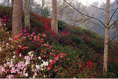 解谜游戏《迷失岛外传南瓜镇》Steam页面上线 发售日待定